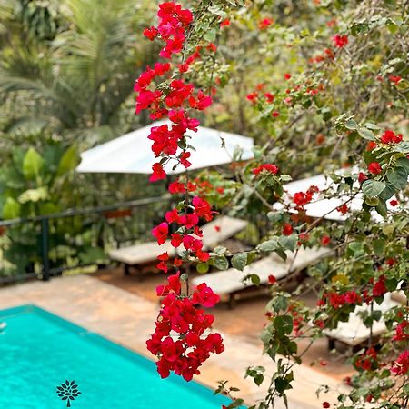 Mediterraneo Suites 伊瓜苏港 外观 照片