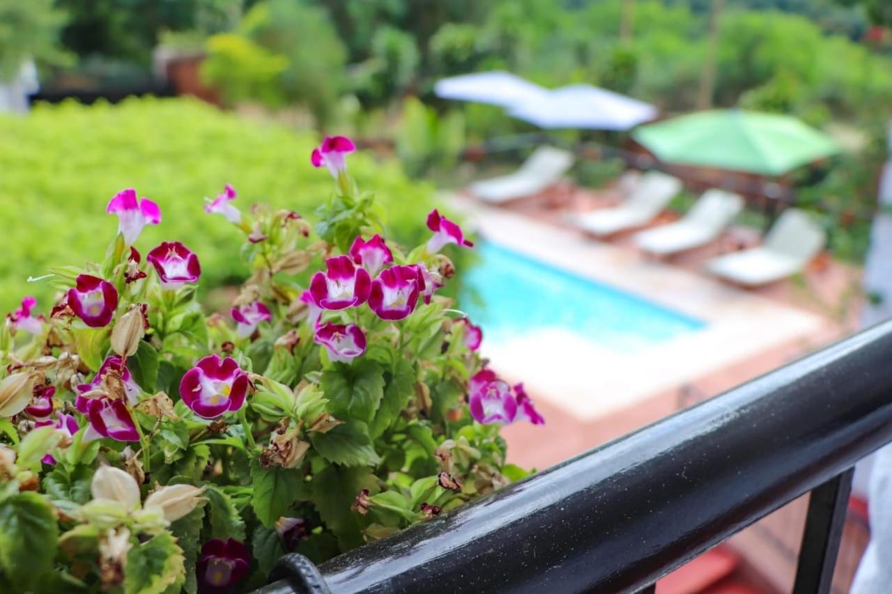 Mediterraneo Suites 伊瓜苏港 外观 照片